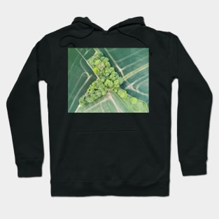 Suffolk Fields #4 Hoodie